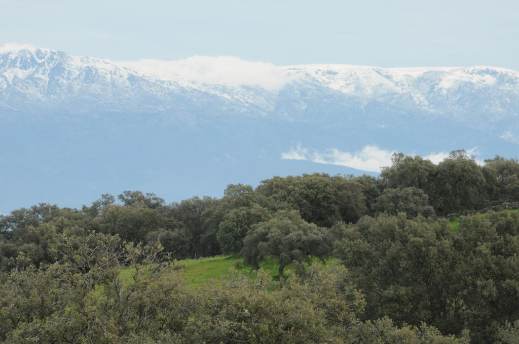 La Cerca Del Alcornoque ξενώνας Casas de Belvis Εξωτερικό φωτογραφία