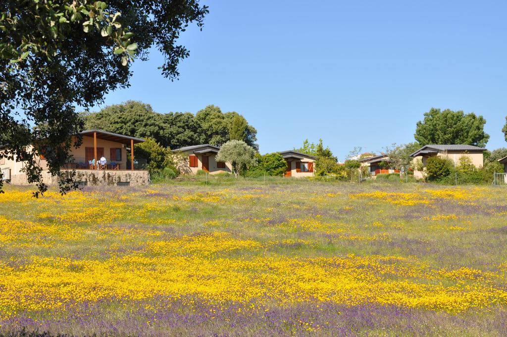 La Cerca Del Alcornoque ξενώνας Casas de Belvis Εξωτερικό φωτογραφία